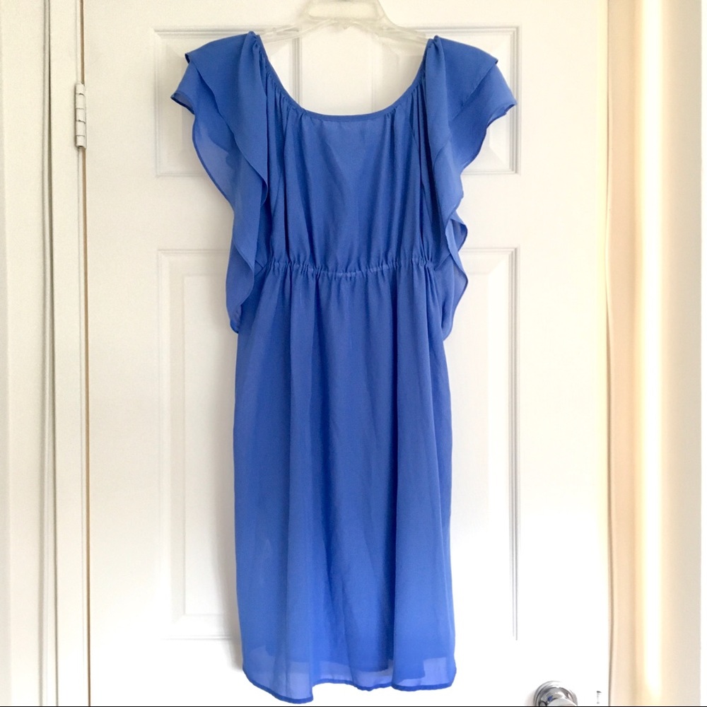 H&M Garden Collection Blue Ruffle Dress - Picture 3 of 4